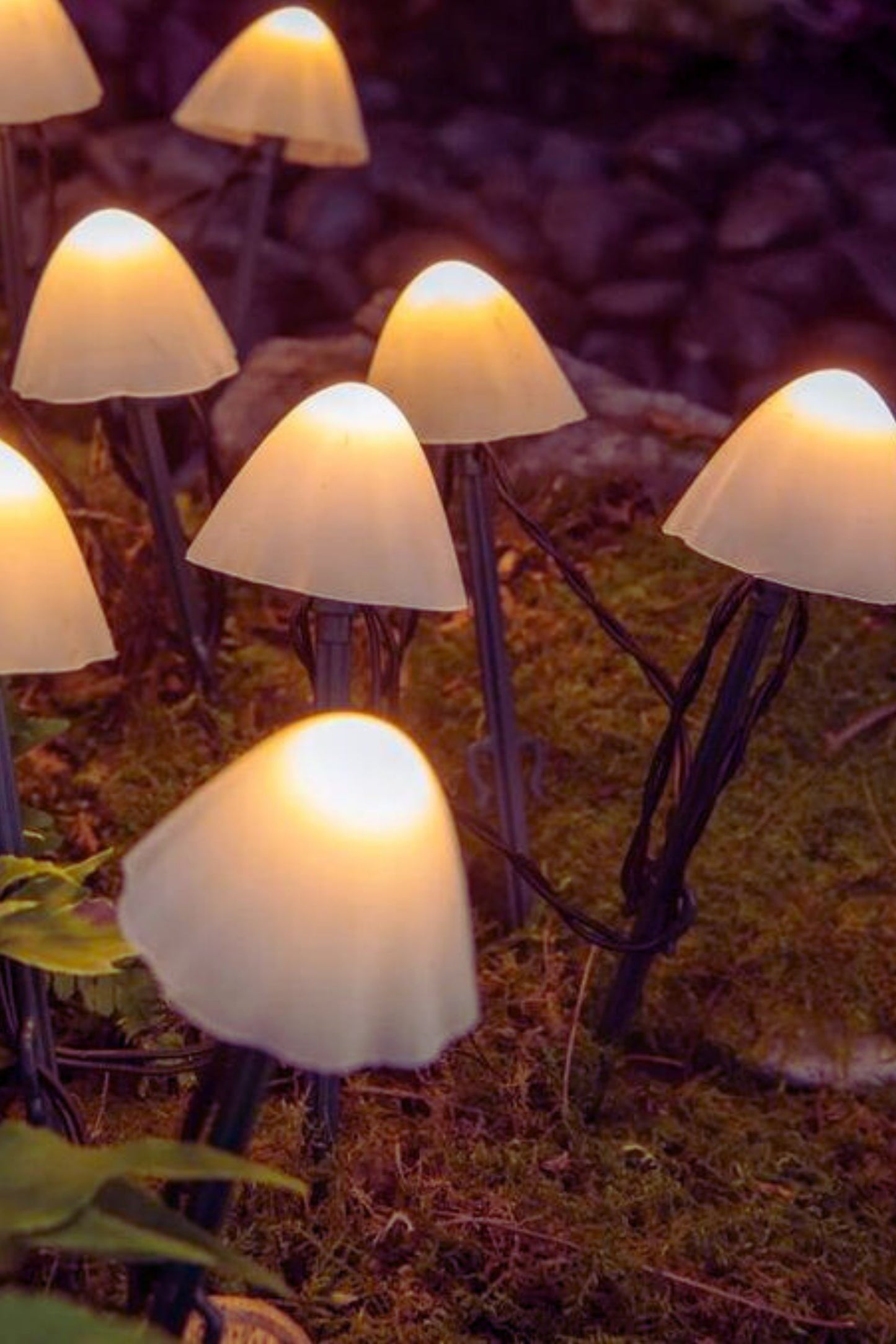 Magical Mushroom Lights-Outdoor
