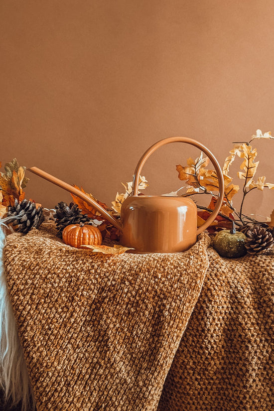 Metal 'Pumpkin' Watering Can