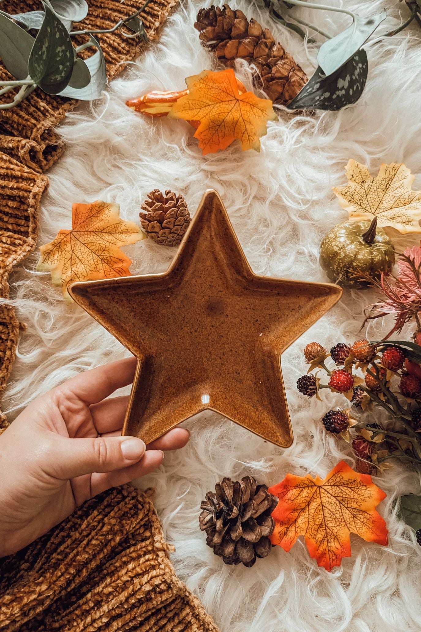 Metallic Star Dishes -Two Sizes