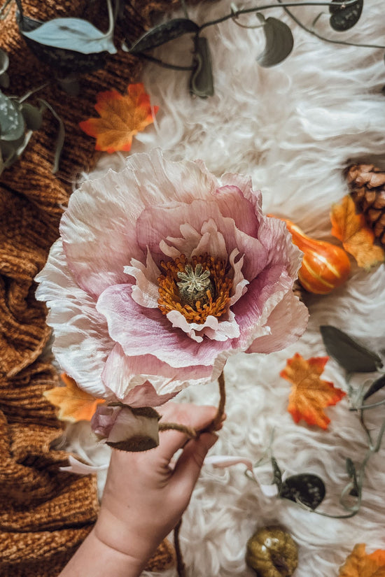 Purple Poppy Stem