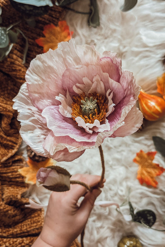 Purple Poppy Stem