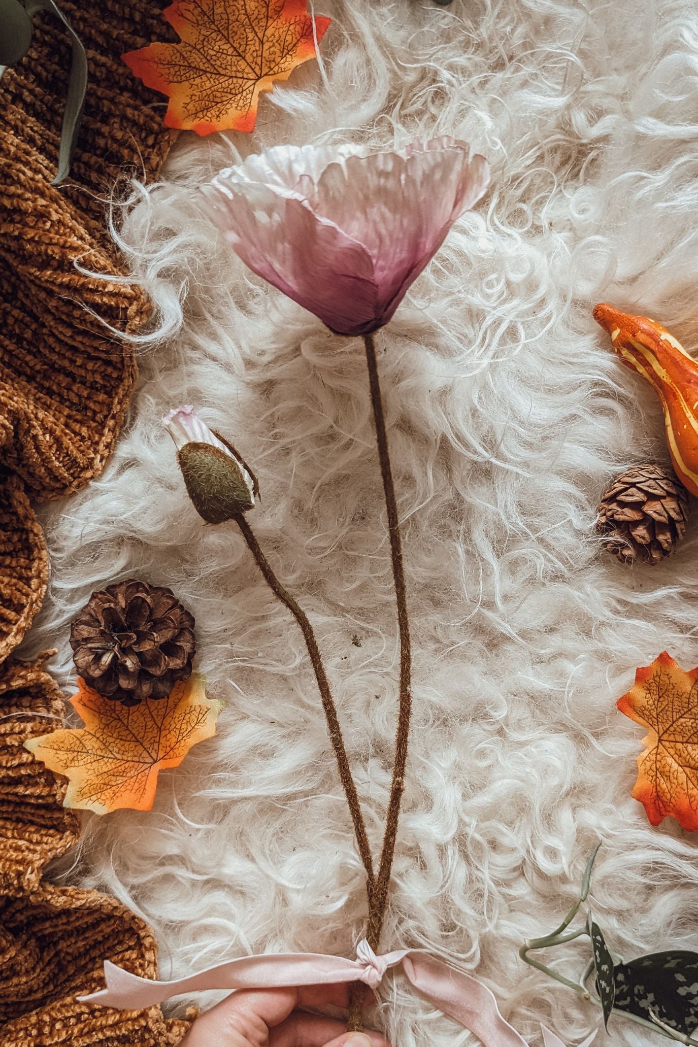 Purple Poppy Stem