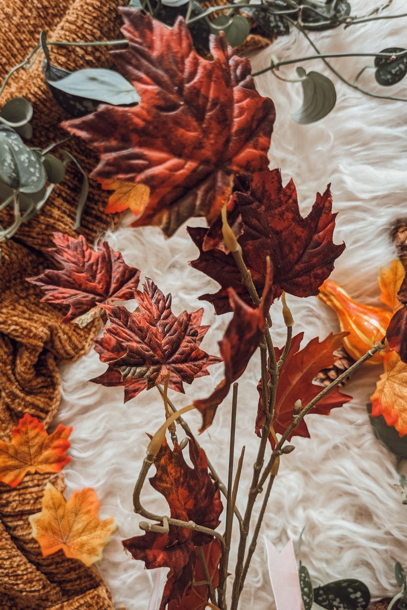 Red Maple Leaf Stem