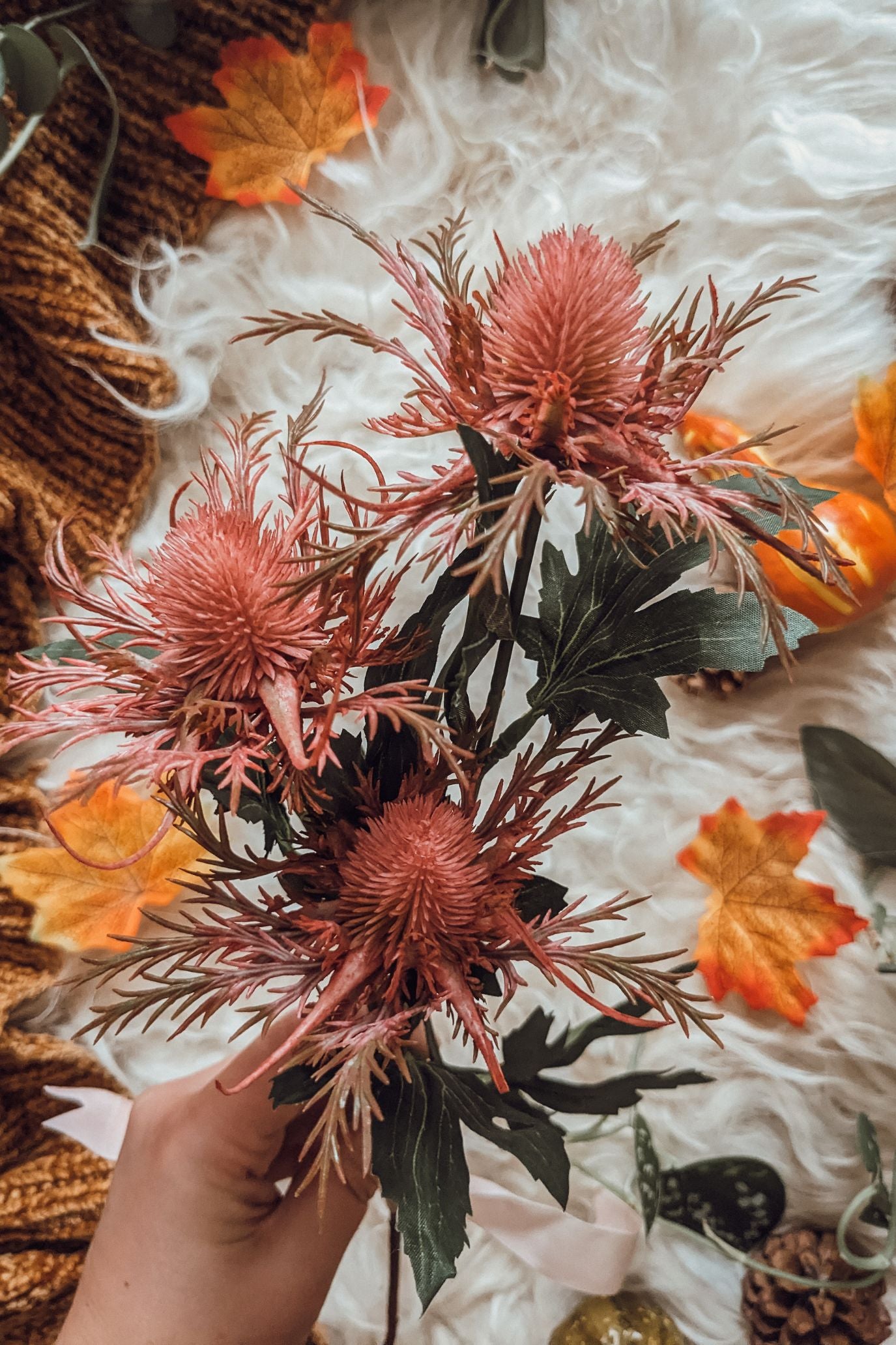 Pink Autumn Thistle Stem