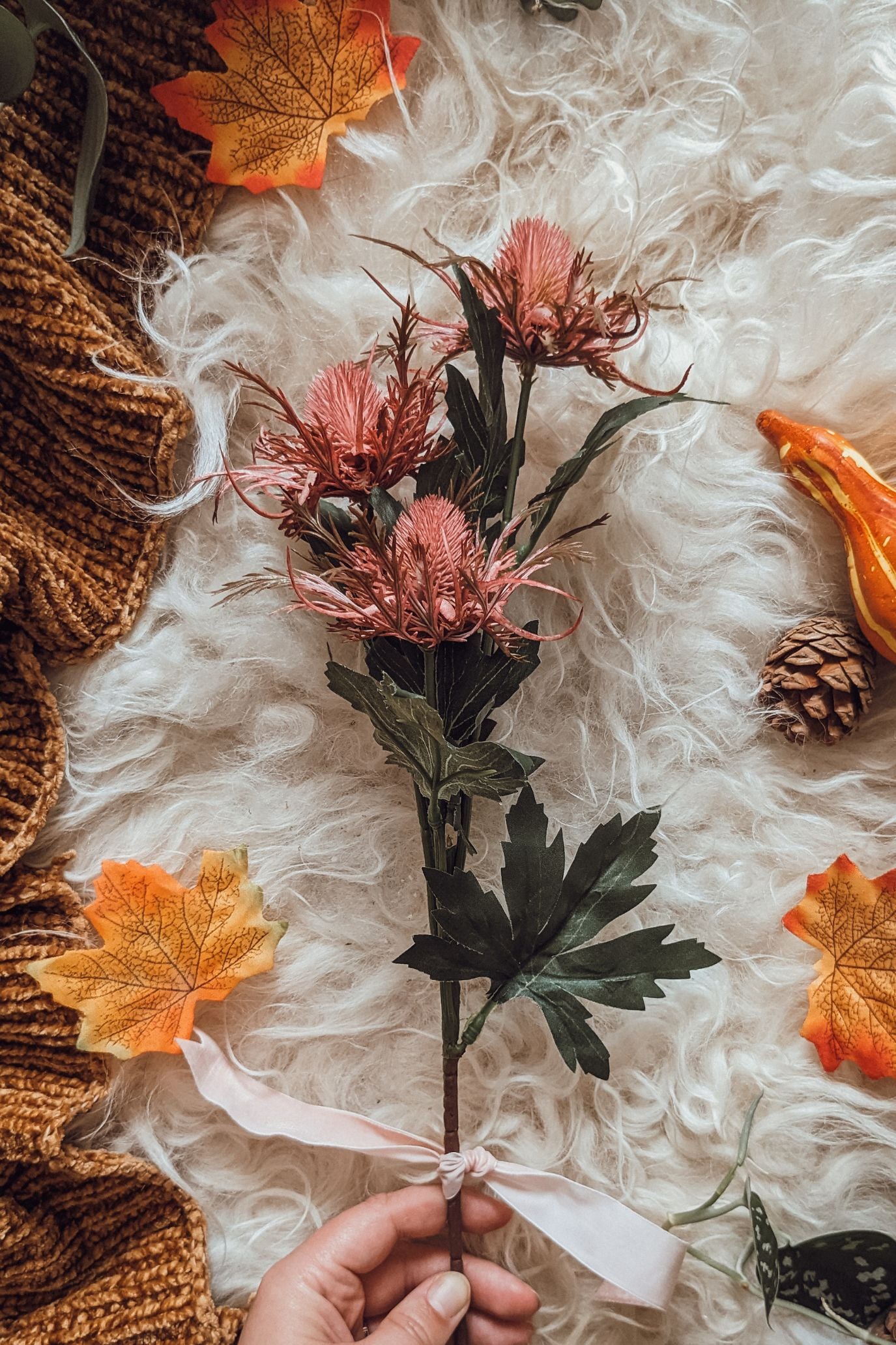 Pink Autumn Thistle Stem