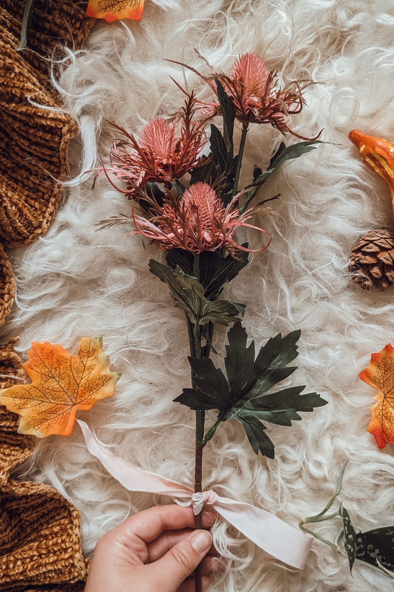 Pink Autumn Thistle Stem