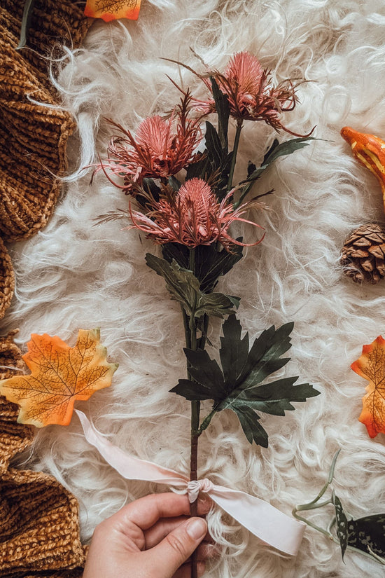 Pink Autumn Thistle Stem