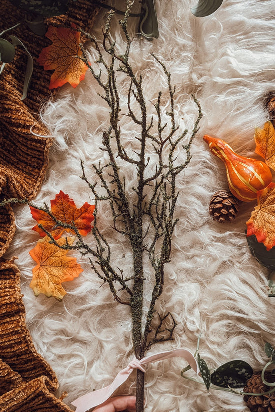 Spooky Autumn Moss Stem