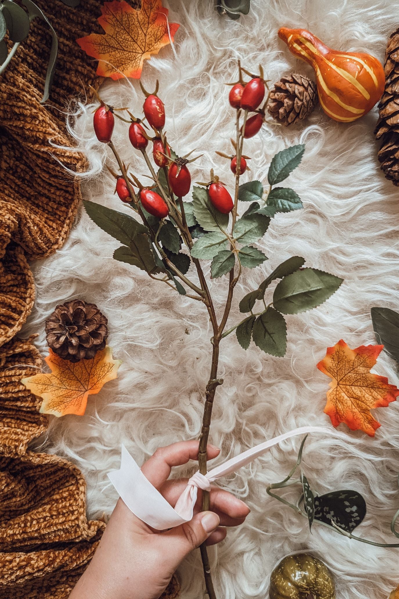 Burgundy Berry Stem