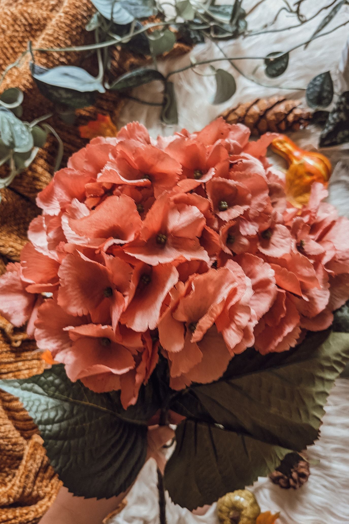 'Autumn Sky' Hydrangea Stem