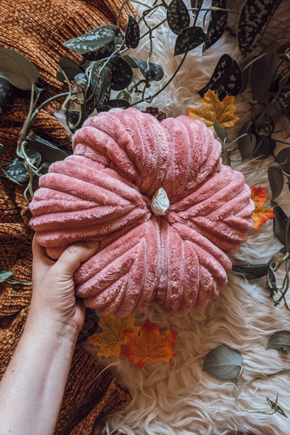 'Raspberry Harvest' Fur Tall Pumpkin