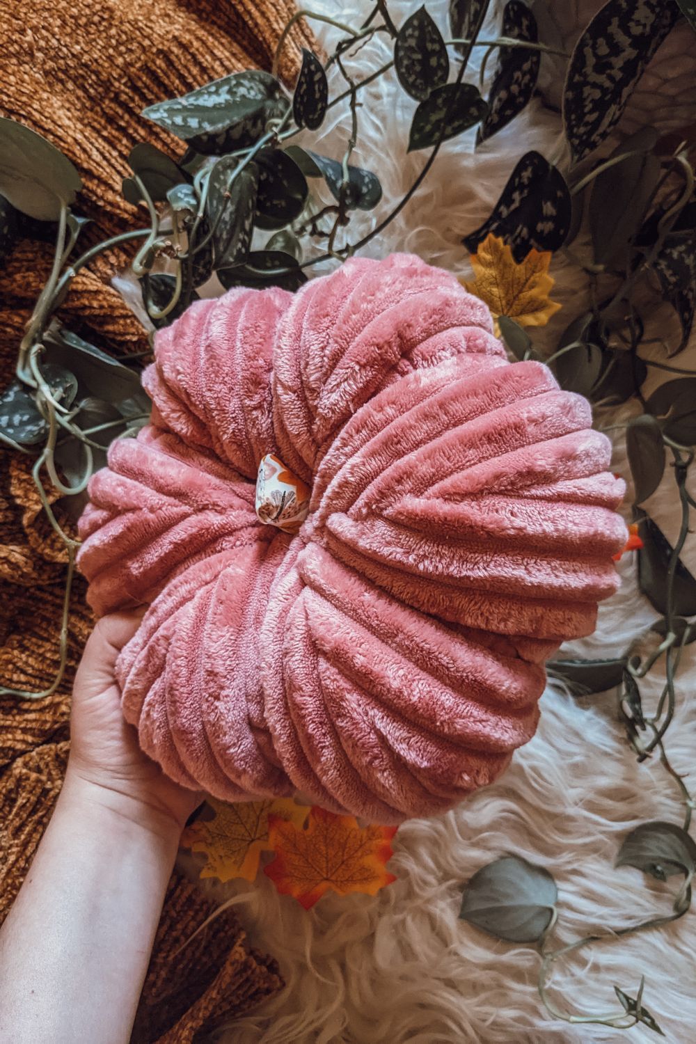 'Raspberry Harvest' Fur Tall Pumpkin