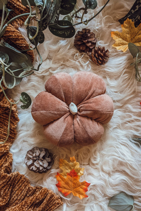 'Autumn Whispers' Velvet Grande Pumpkin