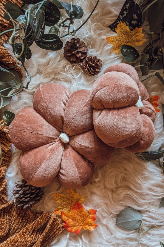 'Autumn Whispers' Velvet Grande Pumpkin