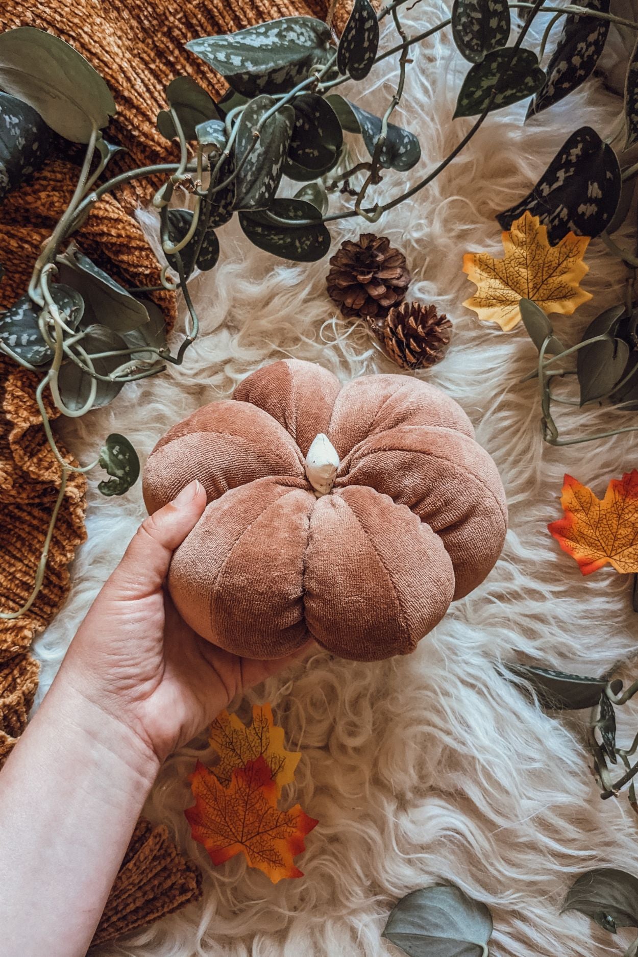 'Autumn Whispers' Velvet Grande Pumpkin