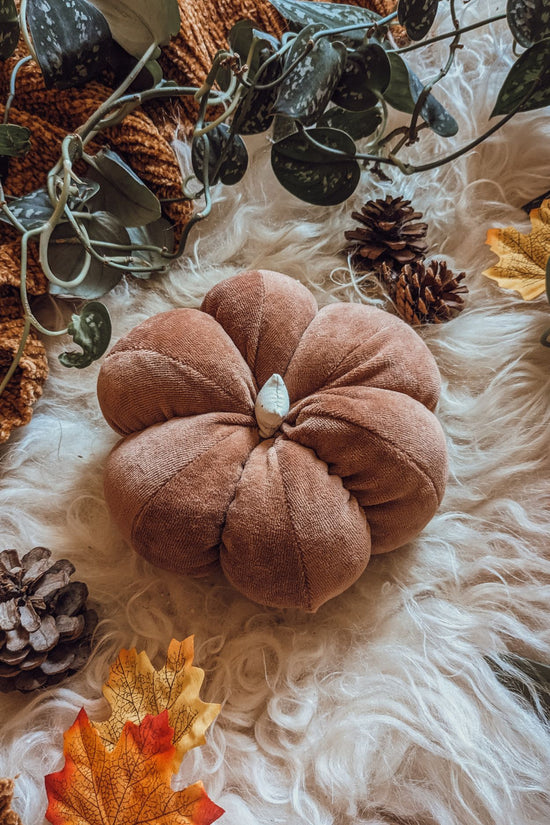 'Autumn Whispers' Velvet Grande Pumpkin