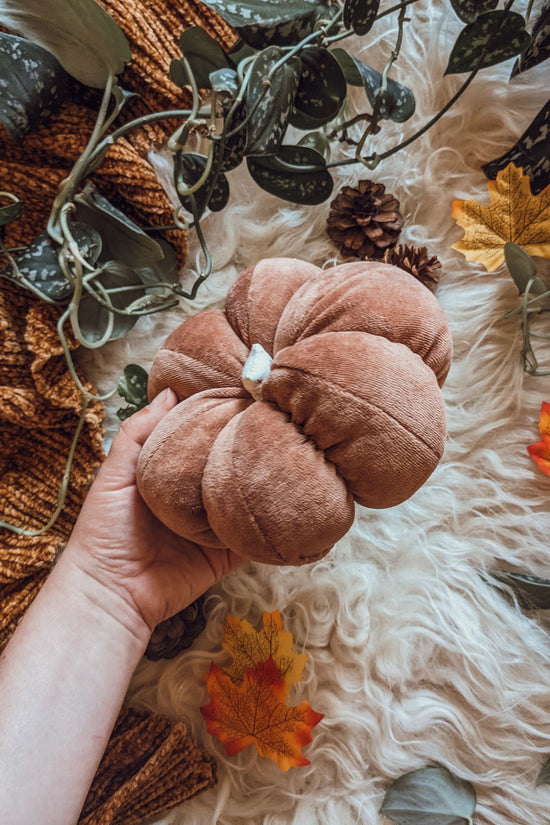 'Autumn Whispers' Velvet Grande Pumpkin