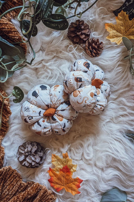 'Witches Store Cupboards' Cotton Mini Pumpkin