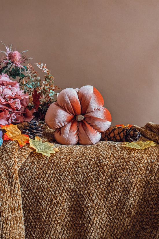 'Peach Harvest Crumble' Velvet Grande Pumpkin