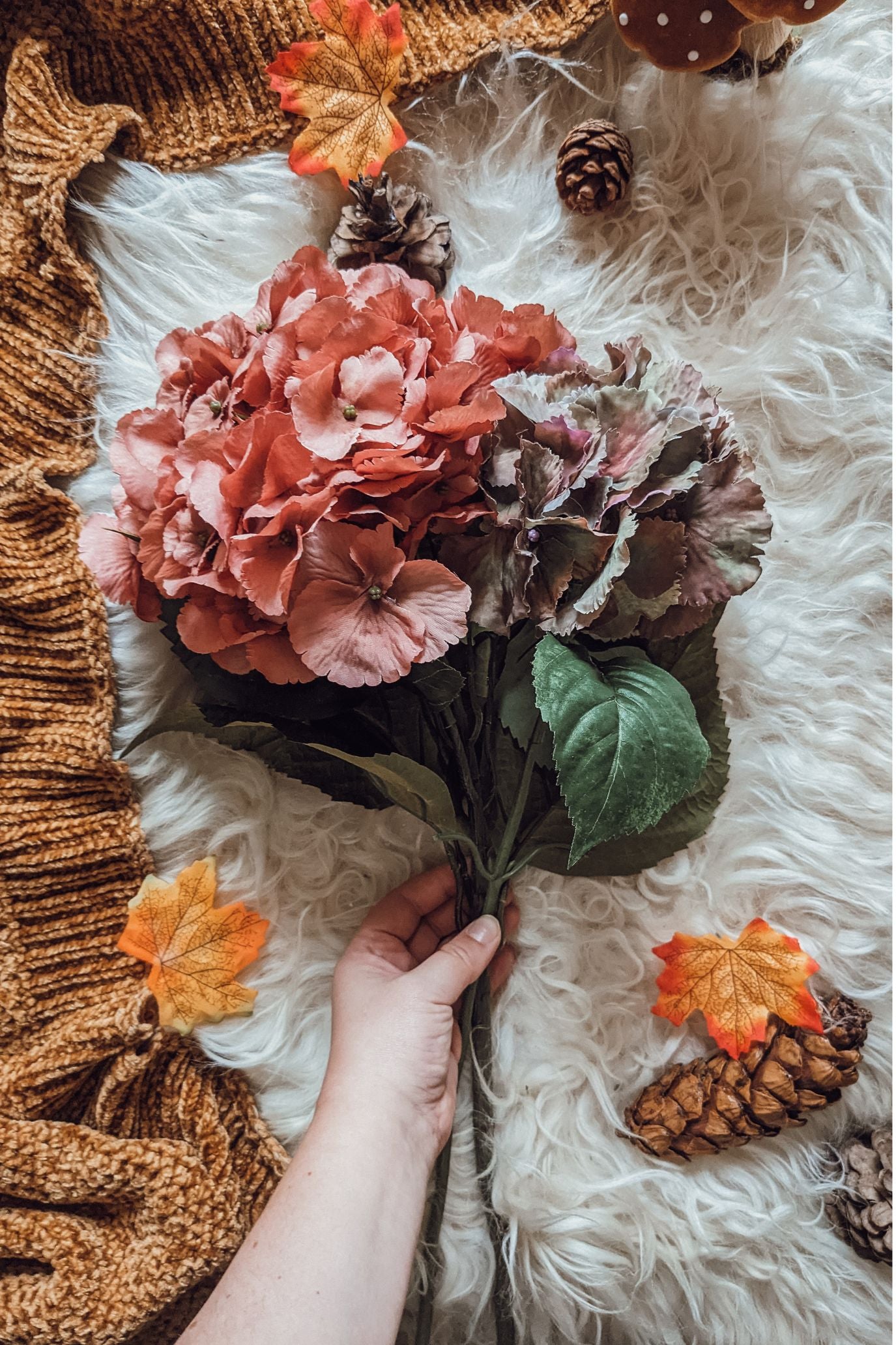 'Witches Spell' Turning Hydrangea Stem