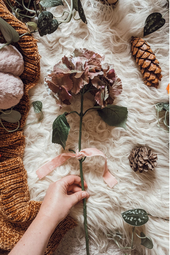 'Witches Spell' Turning Hydrangea Stem