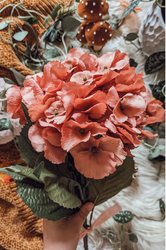 'Autumn Sky' Hydrangea Stem