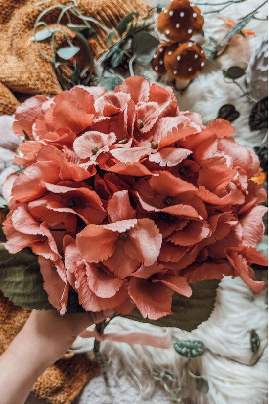 'Autumn Sky' Hydrangea Stem