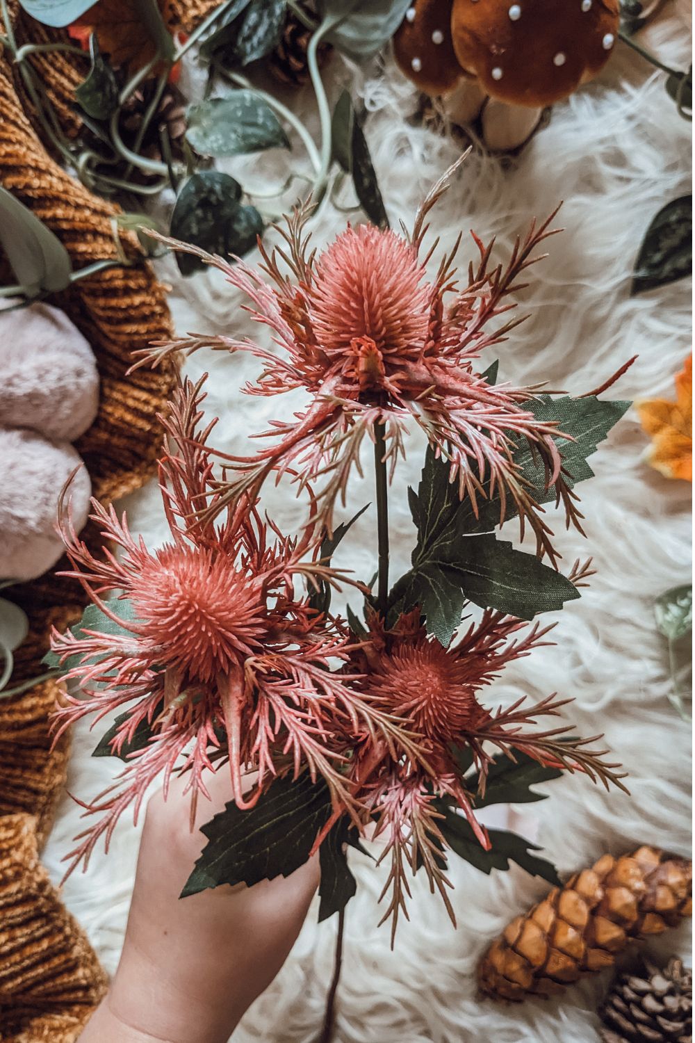 Pink Autumn Thistle Stem