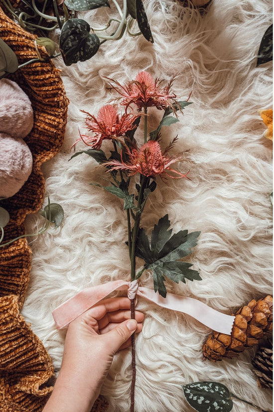 Pink Autumn Thistle Stem