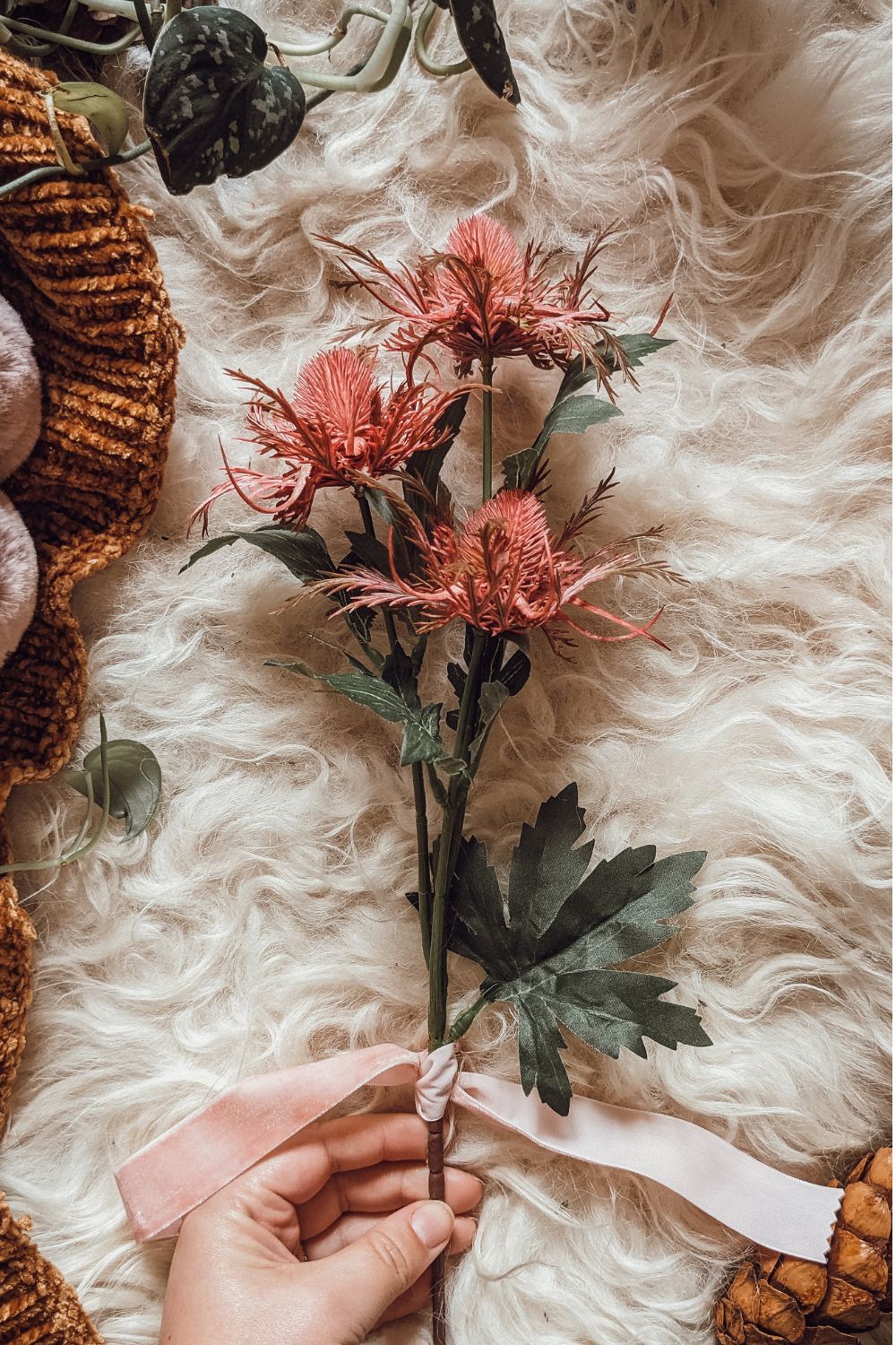 Pink Autumn Thistle Stem